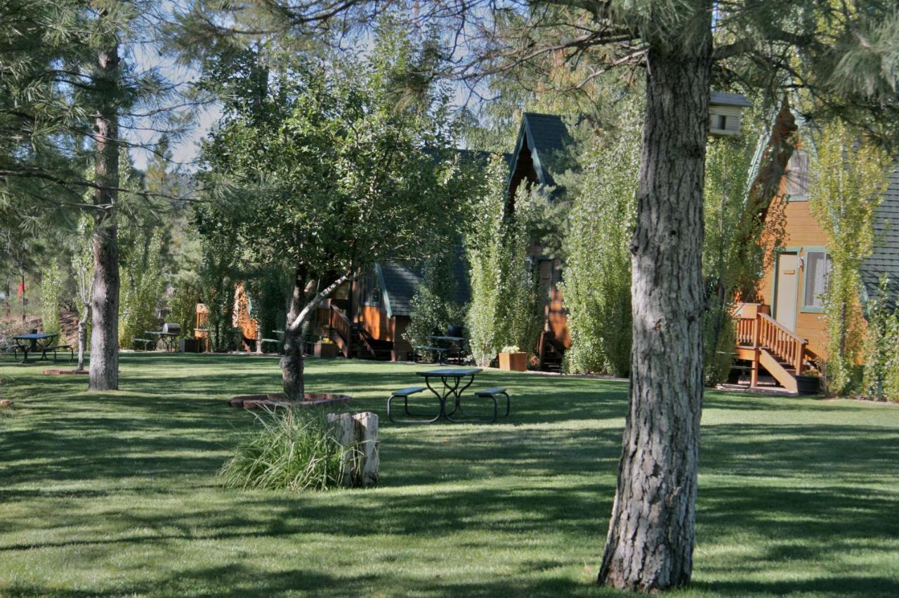 Отель Cabins On Strawberry Hill Pine Экстерьер фото
